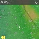 12.16(토) 송년 정기산행 날씨(눈☃️ 와유~) 이미지
