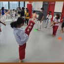 경희대 국가대표 형제 태권도 | 보령태권도 보령 경희대국가대표태권도, 체육과 인성 그 모든 것을 키워주는 체육관!