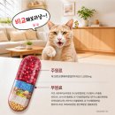 미산 | 요로 케어의 레드 다이아몬드! 북미산 파크랜 크랜베리 라이브포레스트 와이이뮤 후기