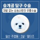 삼송사랑 동물의료센터 이미지