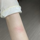 2002오락실 | 2026년 2월 이야기