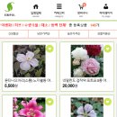 더케이야생화 - 용인시 처인구 전궁로16번길 41 | 더케이야생화
