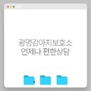 언제나강아지 이미지