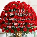 서진모터스 이미지