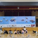 청당초등학교 병설유치원 이미지