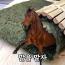 신리원 티스토리