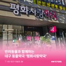 평화사랑약국 네이버블로그