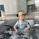 원주 오크밸리 모바일체크인 객실배정 꿀팁 -* 및 간략한 부대시설
