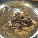 26년 초복 중복 말복 신길역 삼계탕 능이 백숙 정다운 오리 신길동 맛집
