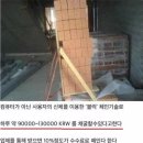 하루당 이미지