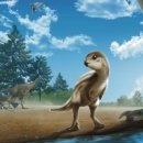 둘리(dooly) | 둘리는 실제로 존재했다