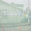 1960청원 이미지