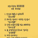 5통 이미지