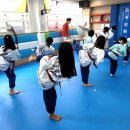 차오름 태권도 교육관 이미지