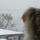 둘레길3코스민박 이미지