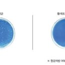 유일인테리어필름 이미지