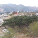 숲속정원 이미지