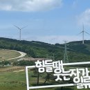 일류목장 이미지