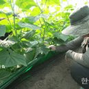 씨엠씨