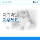 거제동물메디컬센터 이미지