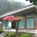 참새미 이미지