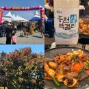 서천 | 2026 서천 동백꽃 쭈꾸미 축제 장소, 주차, 가격 등 서천 봄나들이 후기