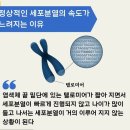 커피베리빈으로 활성산소 내보내기 이미지