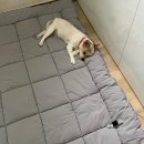 씨유 보성주공점 | 7월 넷째주 :: 별거많은 일상