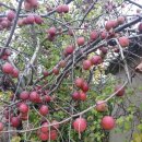 별이농장 이미지