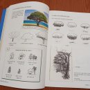 임세환 | '수채화 기초 클래스', '카콜의 어반 스케치' 리뷰