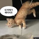 패러다임짐 이미지