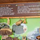 아우라지수리취떡 이미지