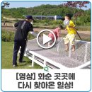 고인돌직매장 이미지