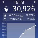 ♣ 산우회(山友會) 청계산(淸溪山) 산행(山行) ... !!