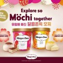 모찌누나