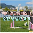 댕댕맛집 | 순천애니멀필름페스타 댕댕런 직관 후기