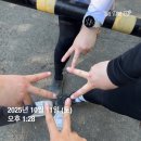 영남 주유소 | 울산 간월재 영남알프스 억새군락지 등산 후기, 억새 명소 추천!