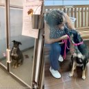 견생공감 이미지