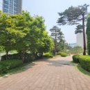 백옥대로1081번길 이미지