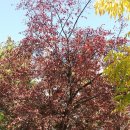 석천공원 이미지