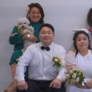 마루 O (MARU-O) 이미지