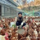 농원축산 이미지