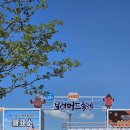 예덕로 | 눕물흙 예산보령 여행｡:°ஐ | (2) 개존잼 보령 머드축제 ❀❛ ֊ ❛„