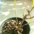 미경농장 이미지