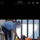 와이즈독 아카데미 이미지