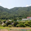 동상초등학교 이미지