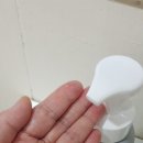 화이트 크린워시 이미지