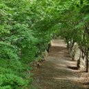 가리왕산가든 이미지