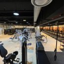 스타휘트니스 이미지