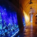 마동유원지 음악분수대 이미지